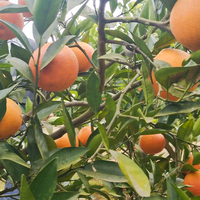 用户8089562549161头像