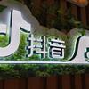 阿道夫标识头像