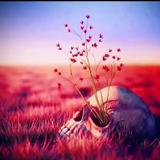 太阳阳光170头像