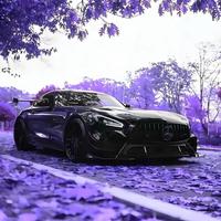 是66不是溜溜头像