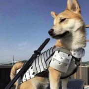 百密不疏的个人资料头像