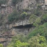 努力(老李)头像