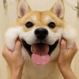 那那那468头像
