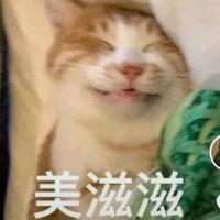 小说星人头像