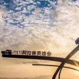 山东伯乐影视头像