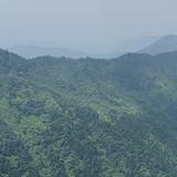 逍客高峰头像