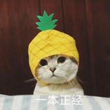 不吃酸奶薯片头像