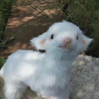 ChEn976头像