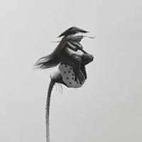 假惺惺Hzzzz头像