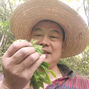 得地的德（江云）头像