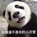 且听风吟头像