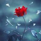 IX君的个人资料头像