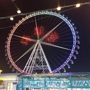 yangguangmingman的个人资料头像