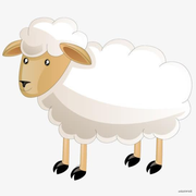 会敲代码的羊的个人资料头像