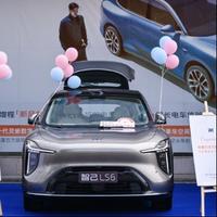 强哥爱智己头像