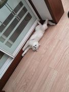 一粒栗子的个人资料头像