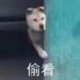 凑不了的热闹头像