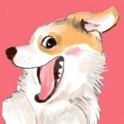 沉舟orz的个人资料头像