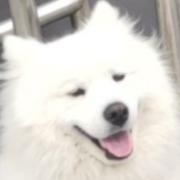 A热心王友_1的个人资料头像