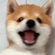 vision995的个人资料头像