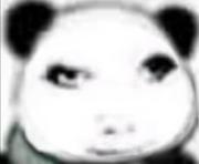 我是前端的狗的个人资料头像