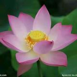 你在身边  在你身边头像