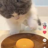 乌拉拉乌鲁鲁头像