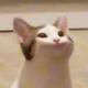 ・・头像