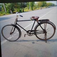 凤凰永久大金鹿头像