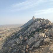 奥斯瓦尔多的个人资料头像