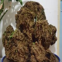 用户5235158944264头像