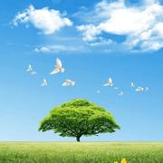 倪华川的个人资料头像