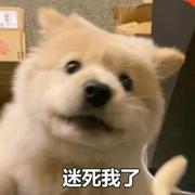 等风来276的个人资料头像