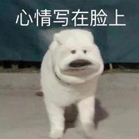 陶庵梦忆序头像