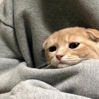 卷尺会说话头像