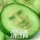 sz你我山巅自相逢zyy头像