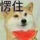 川黎的个人资料头像