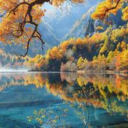 窦雪松的个人资料头像