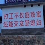 养猪致富新青年头像