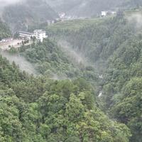 淡定辰星czR头像