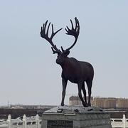 AAA1493371979331的个人资料头像