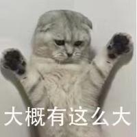 峡谷最牛大胖头像