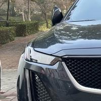 阿紫成了小灰灰头像