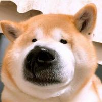 落日染红樱146头像