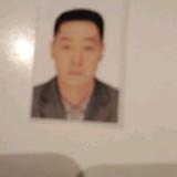 百灵鸟520爱你不后悔头像