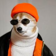xiaomingxian的个人资料头像