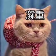 重生之我在学JS的个人资料头像