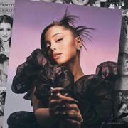 迷人的老北的个人资料头像