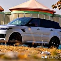 鄂A小猪头像