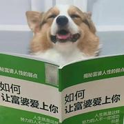 今天的砖格外烫手的个人资料头像